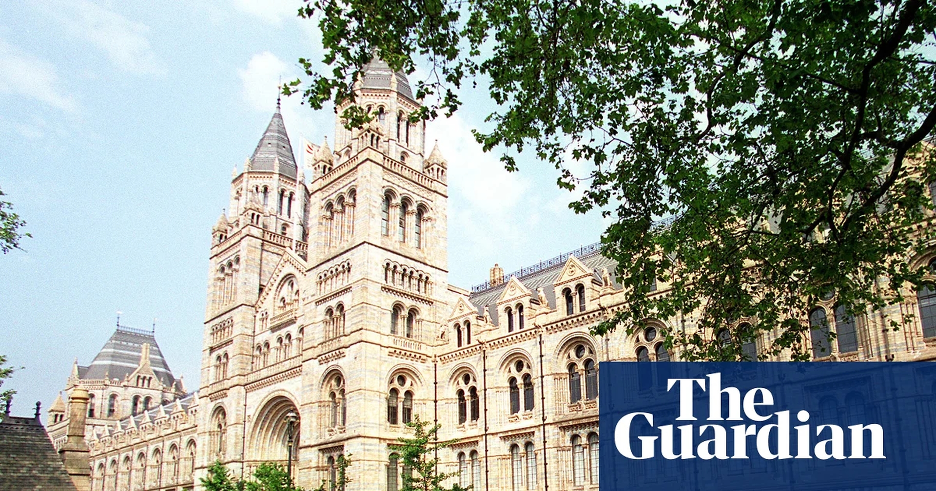 Zimbabwean Descendants Urge UK: Repatriate Looted Skulls of Resistance Heroes