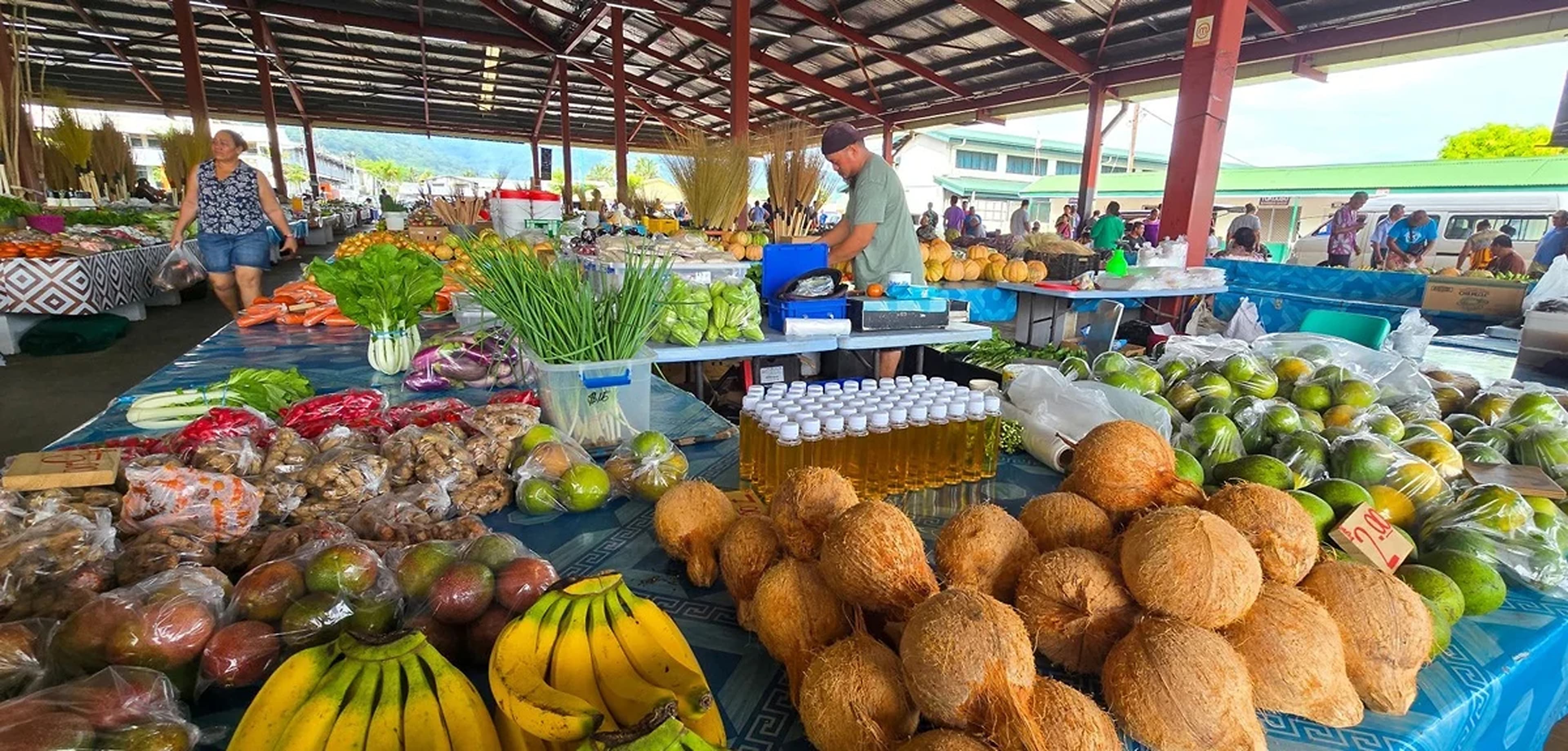 Global Health and Education Watch: Joint statement on the renewed Quadripartite Memorandum of Understanding