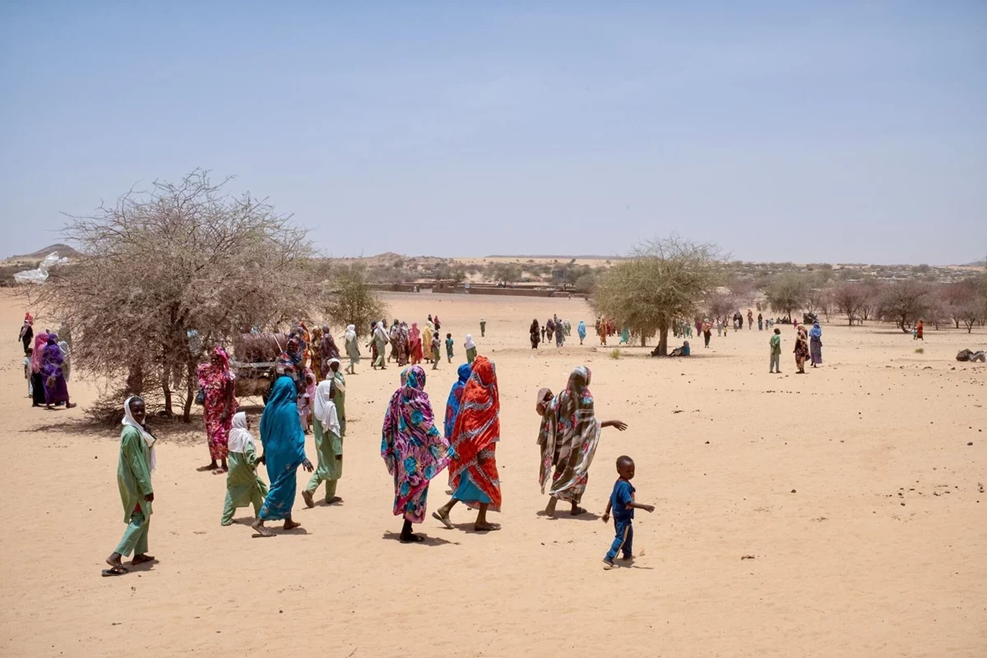 Global Health and Education Watch: Sudan: 1000 days of war deepen the world’s worst