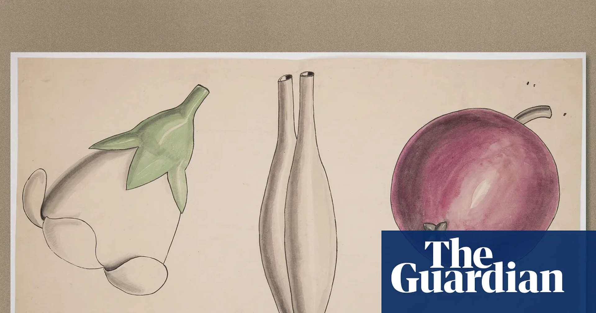 Cambridge Revives Darwin-Inspired Botany Course After Historic Archive Uncovered