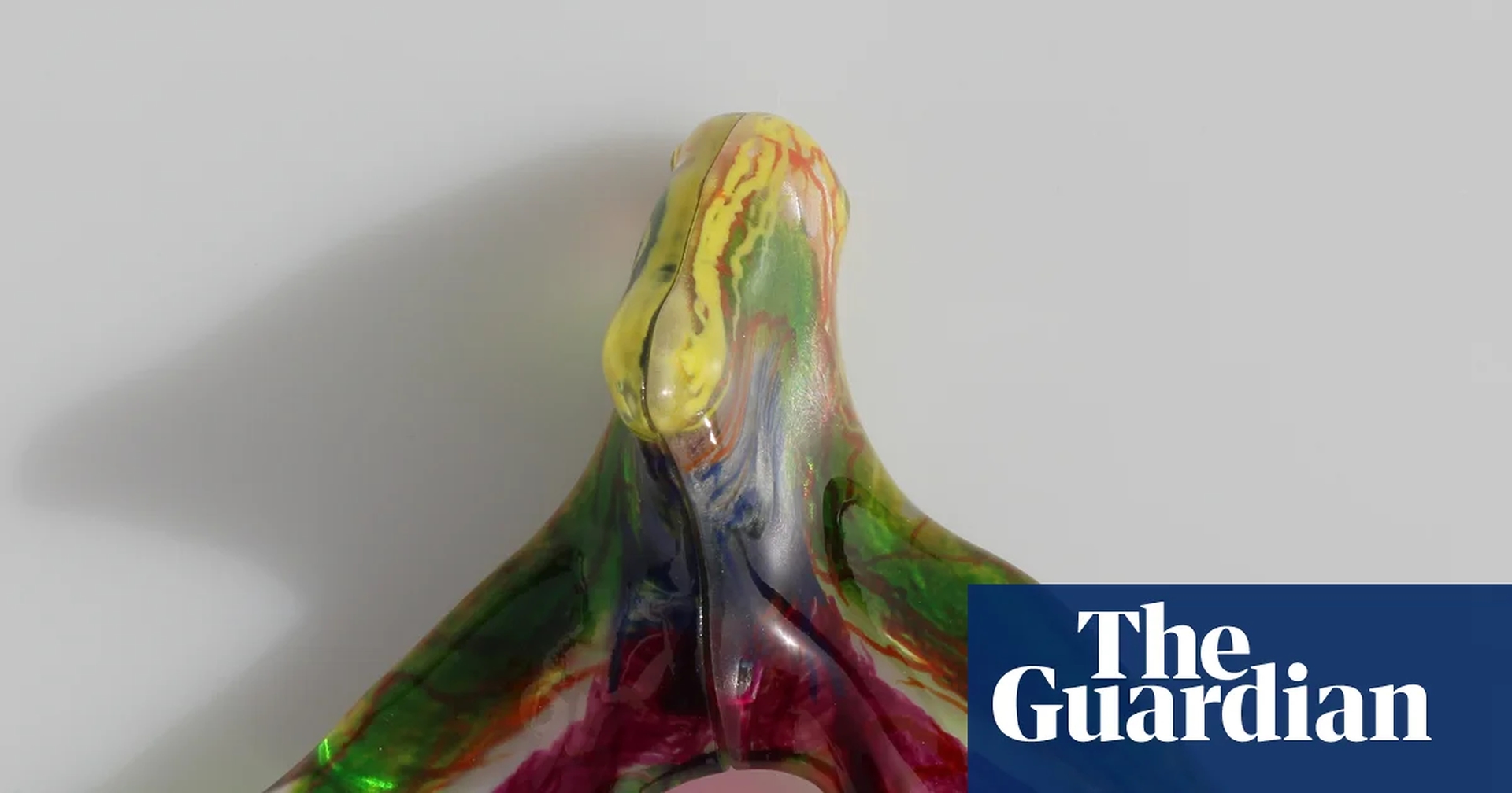 Full Clitoral Nerve Network Mapped, Revolutionizing Women's Pelvic Surgery