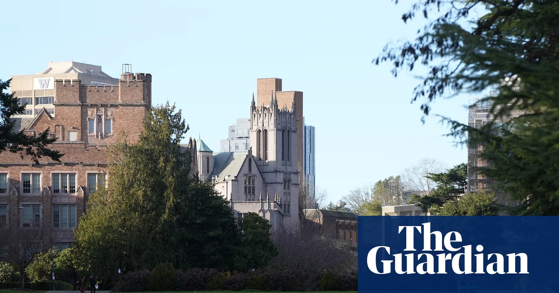 Academic Freedom Under Scrutiny: US University Fires Professor Over Iran War Criticism
