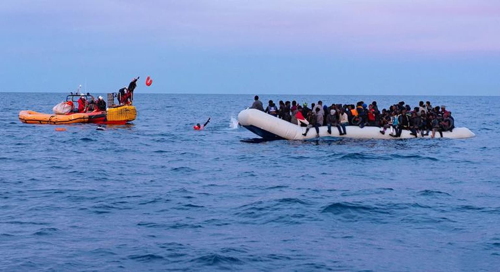Global Crises Converge: Mediterranean Tragedy, Afghan Displacement, and One Health Imperative