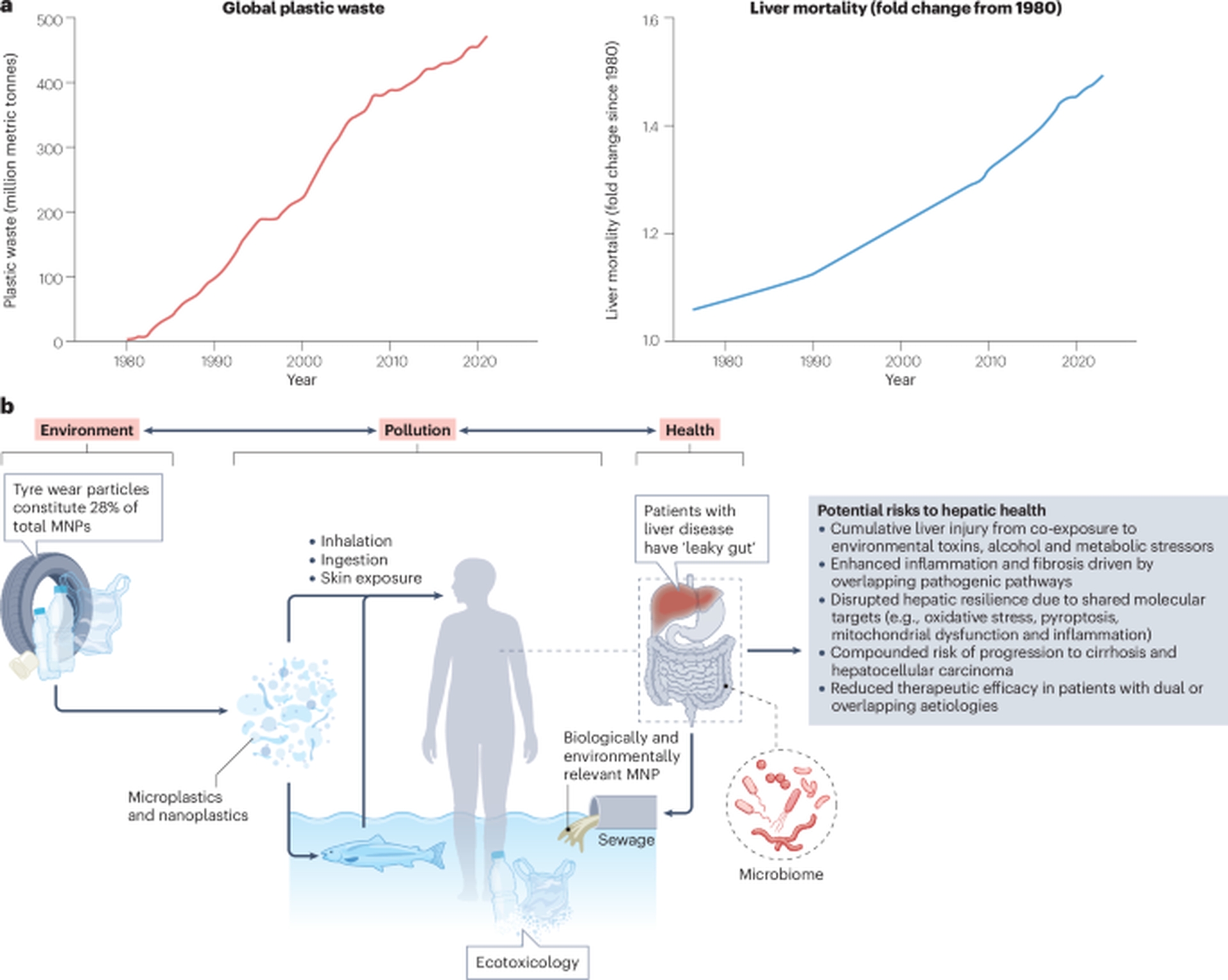 Invisible Threat: Microplastics Linked to Global Liver Disease Risk
