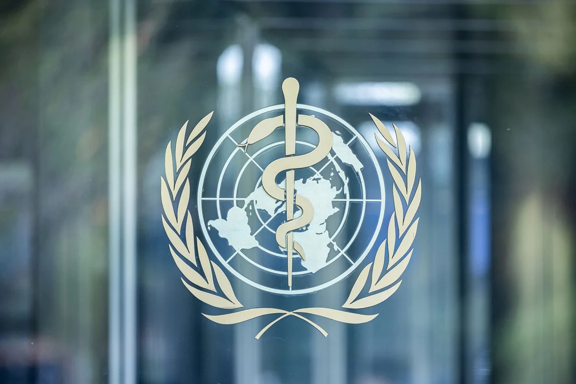 Guinea-Bissau Hepatitis B Birth Dose Trial Under Global Scrutiny