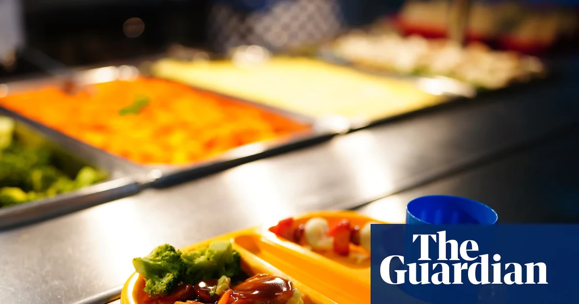 Global Health and Education Watch: School food standards pilot in England cuts meal uptake