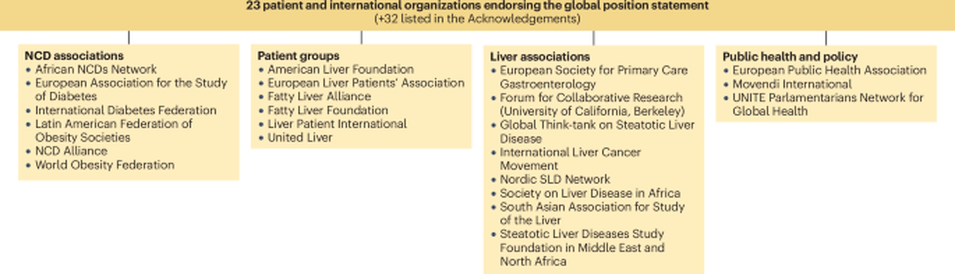 Global Health Leaders Urge WHO Action on Steatotic Liver Disease