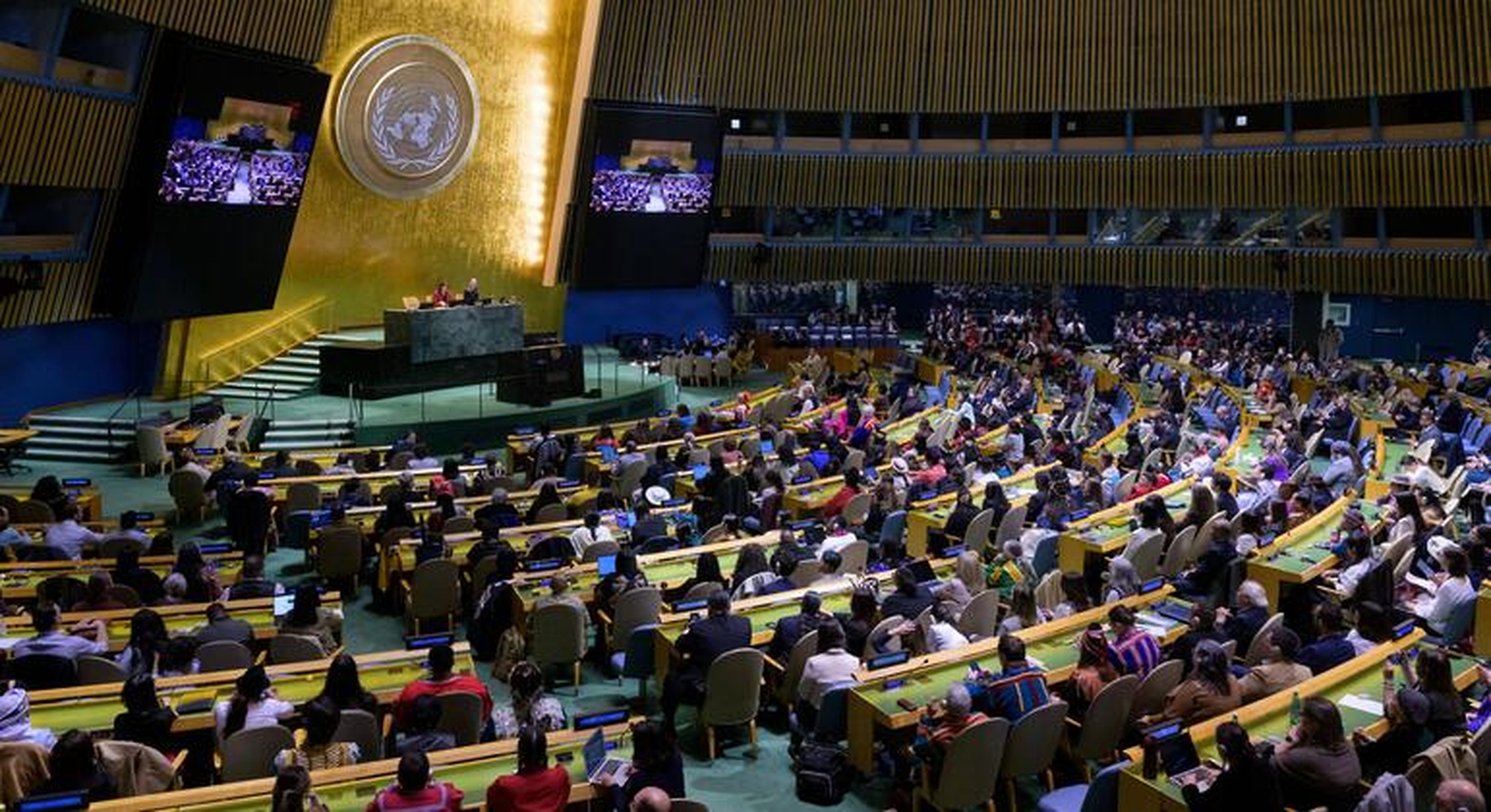 UN Forum Urges Global Action for Indigenous Healthcare in Conflict Zones