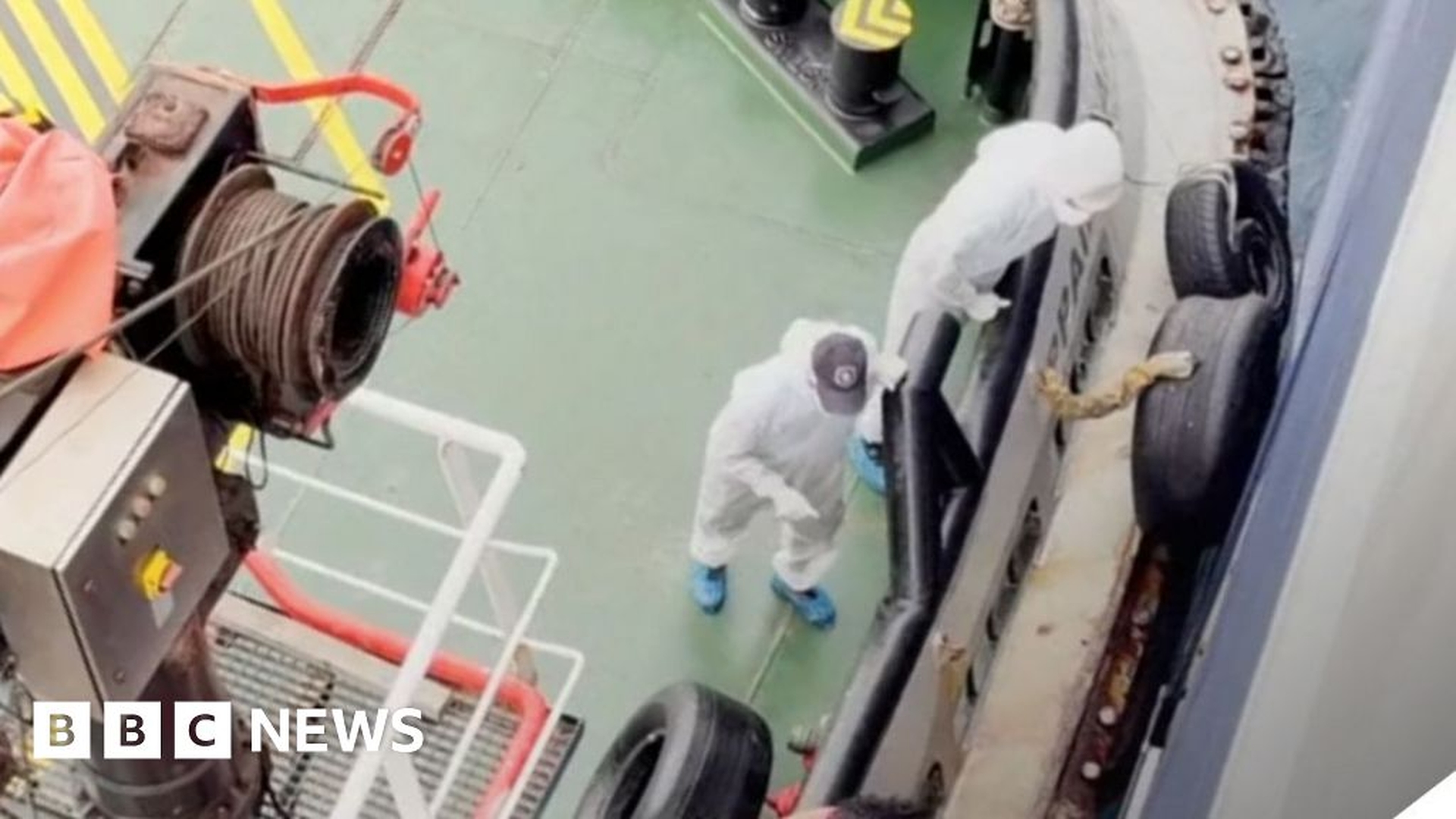 Human-Transmissible Hantavirus Strain Detected on Cruise Ship