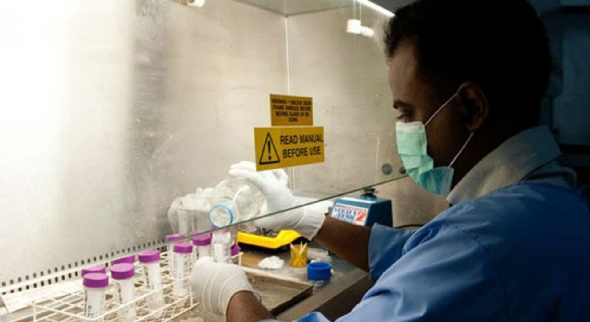 Global Health and Education Watch: Wider hantavirus outbreak risk is ‘absolutely low’, insists UN