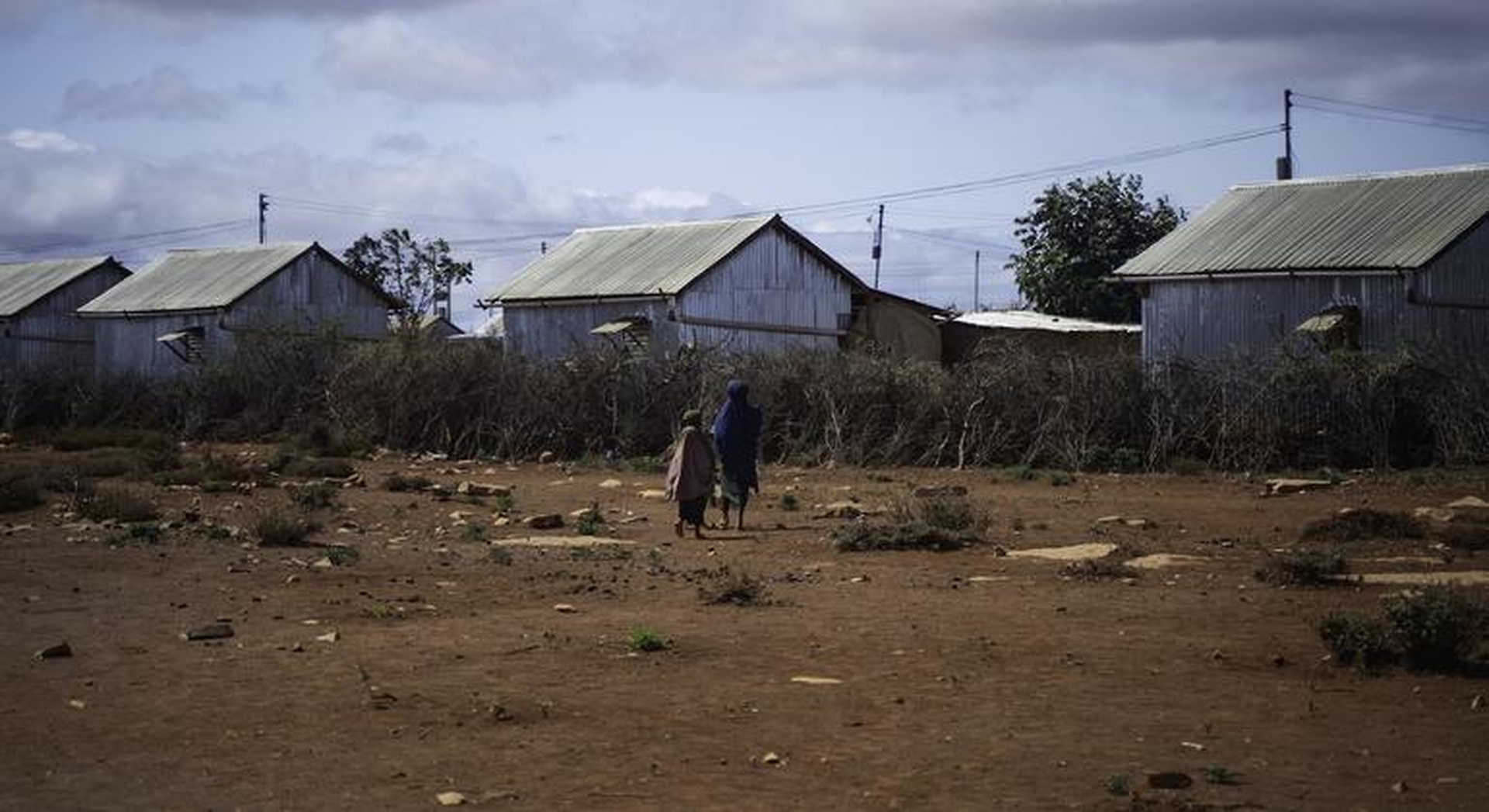 Global Hunger Crisis Deepens: Millions Face Acute Malnutrition in Somalia and DR Congo