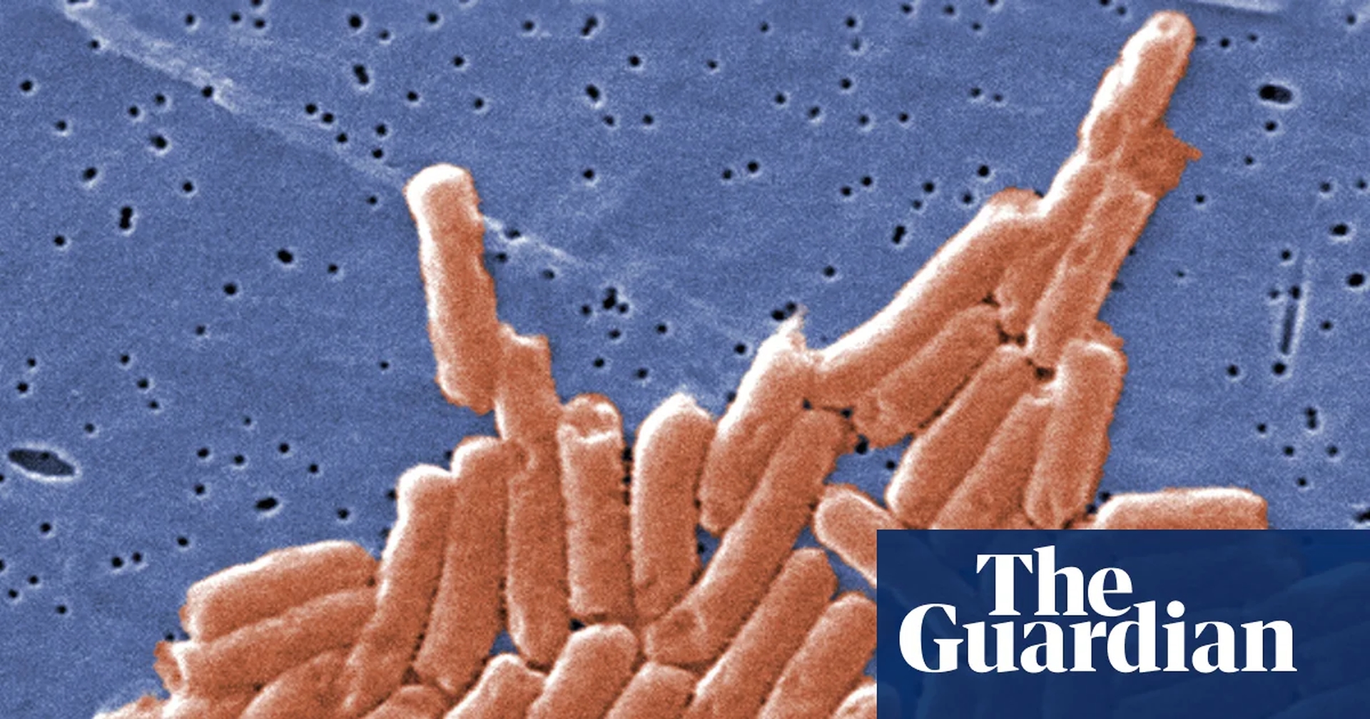 Climate Crisis Accelerates Global Antibiotic Resistance, Posing Grave Health Threat