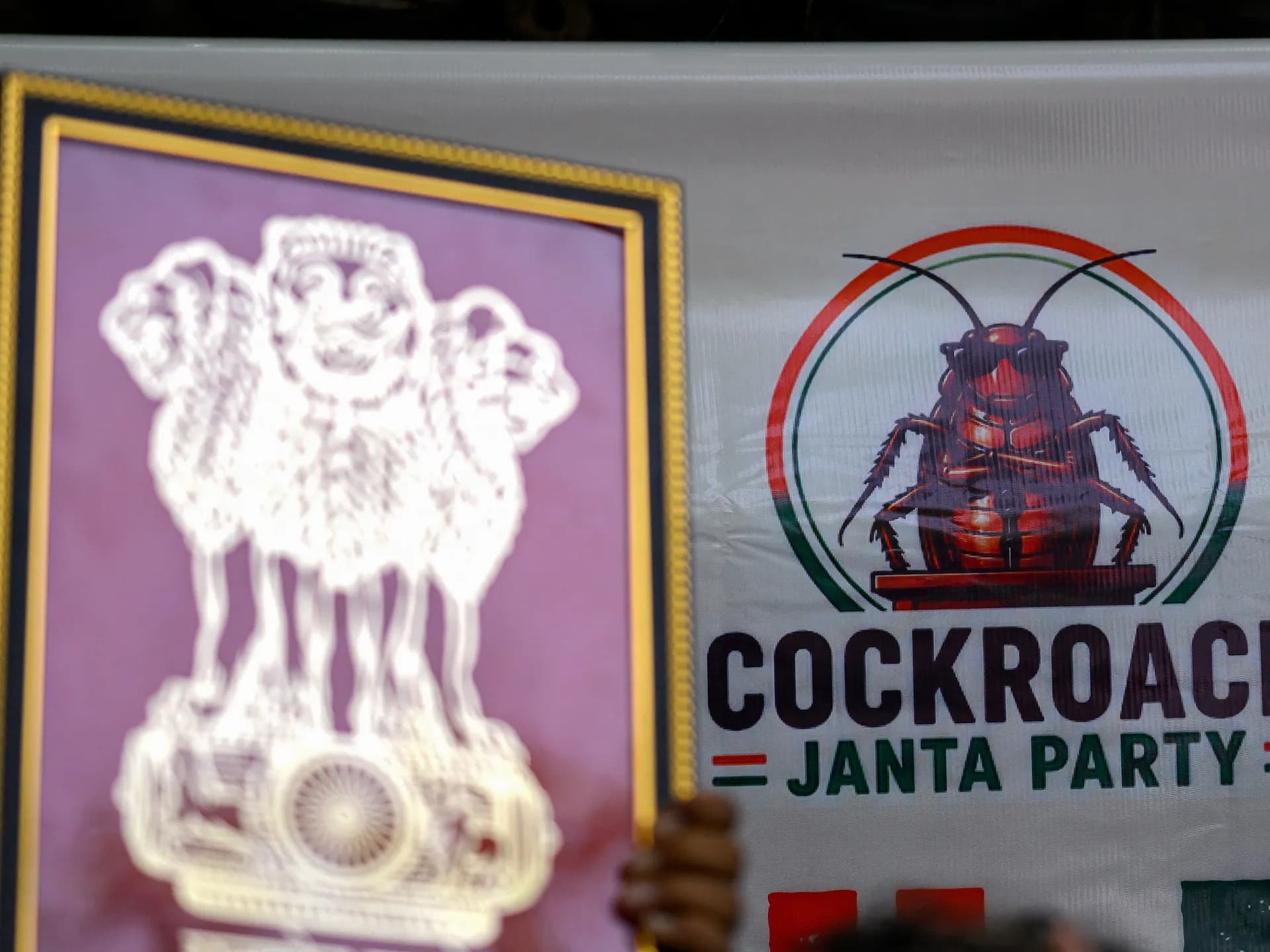 Global Health and Education Watch: Supporters of the Cockroach People’s Party hold protest in