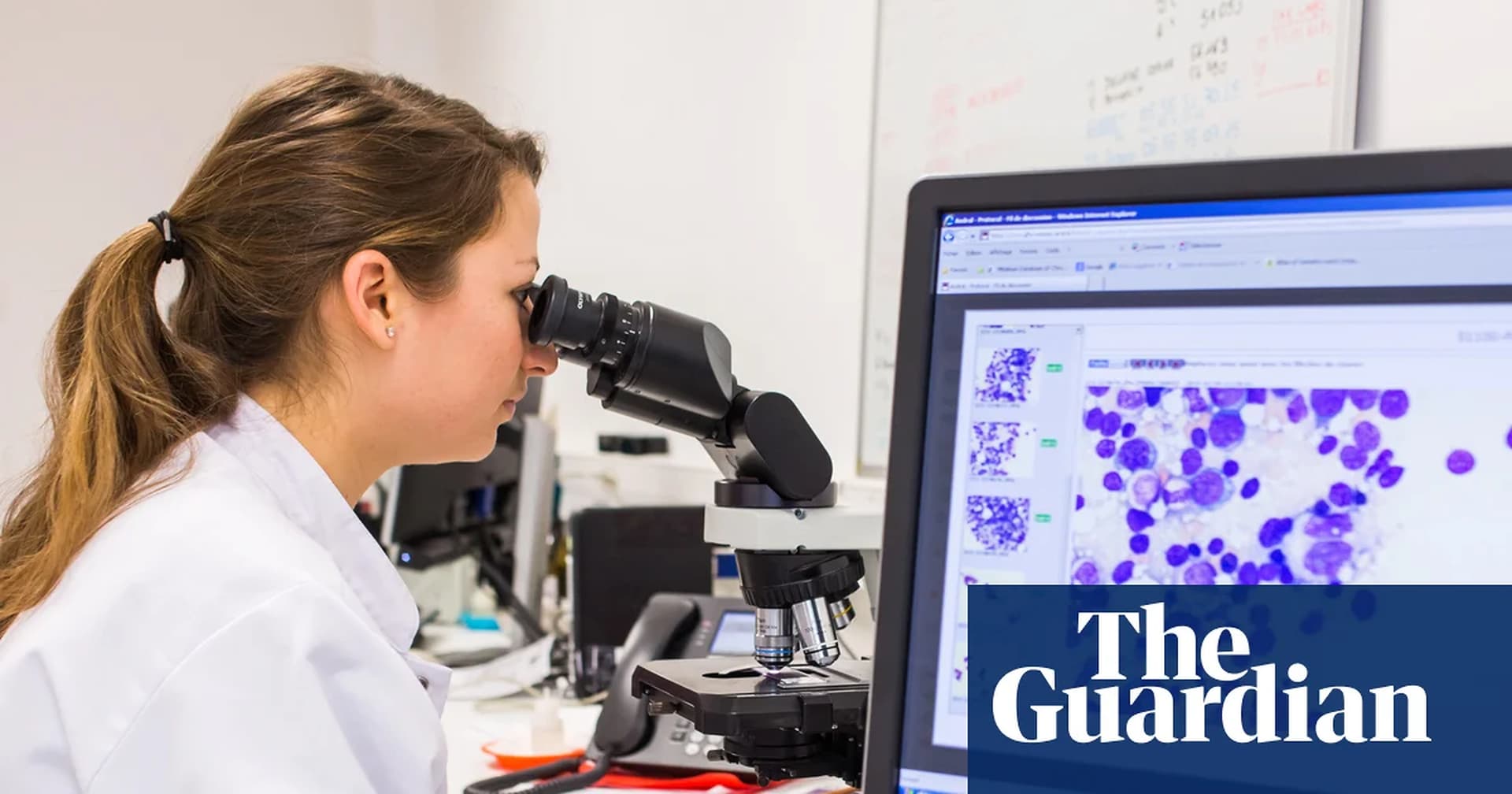 Global Health and Education Watch: Monday briefing: Are we any closer to a cure