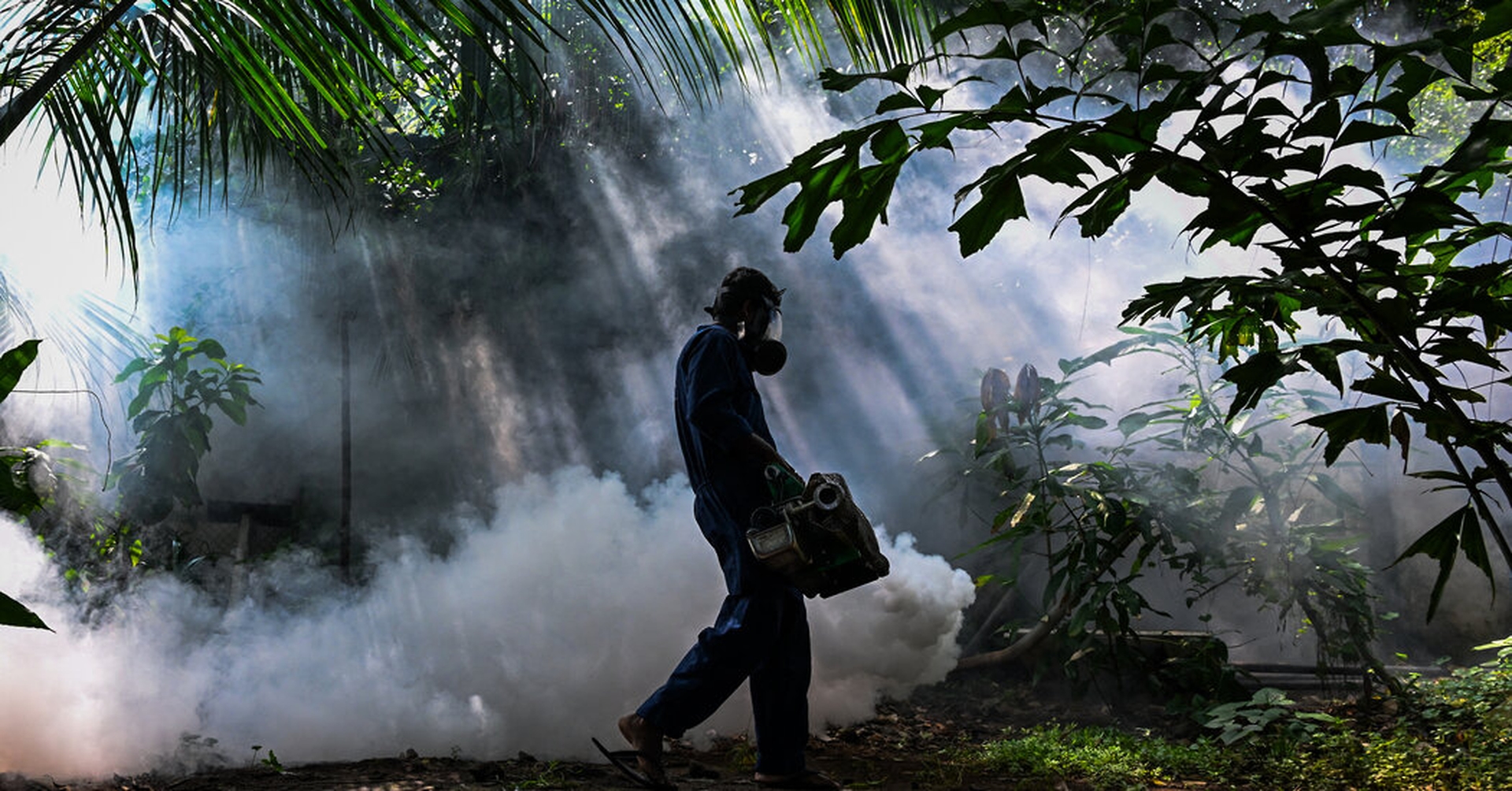 Global Health and Education Watch: Drones Used to Fight Mosquitoes as Dengue Fever Surges