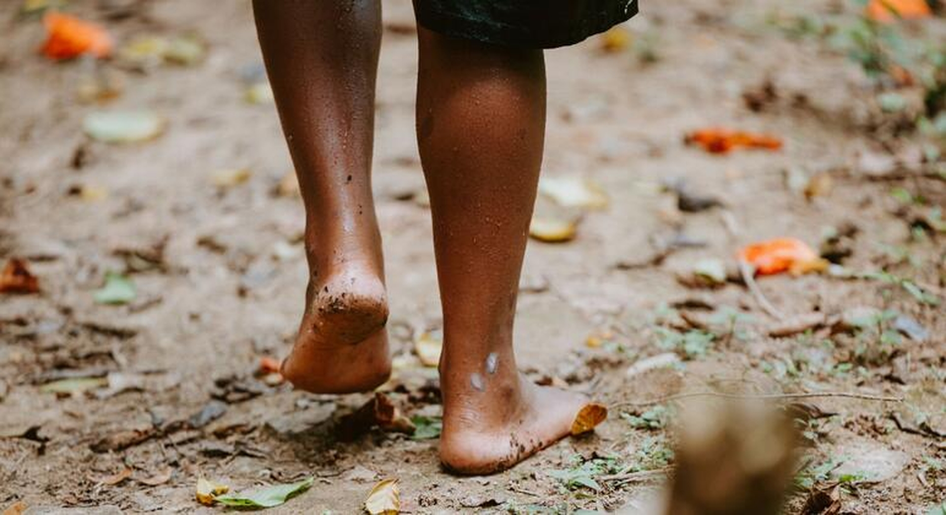 Global Health and Education Watch: New WHO plan urges stronger action against fungal disease