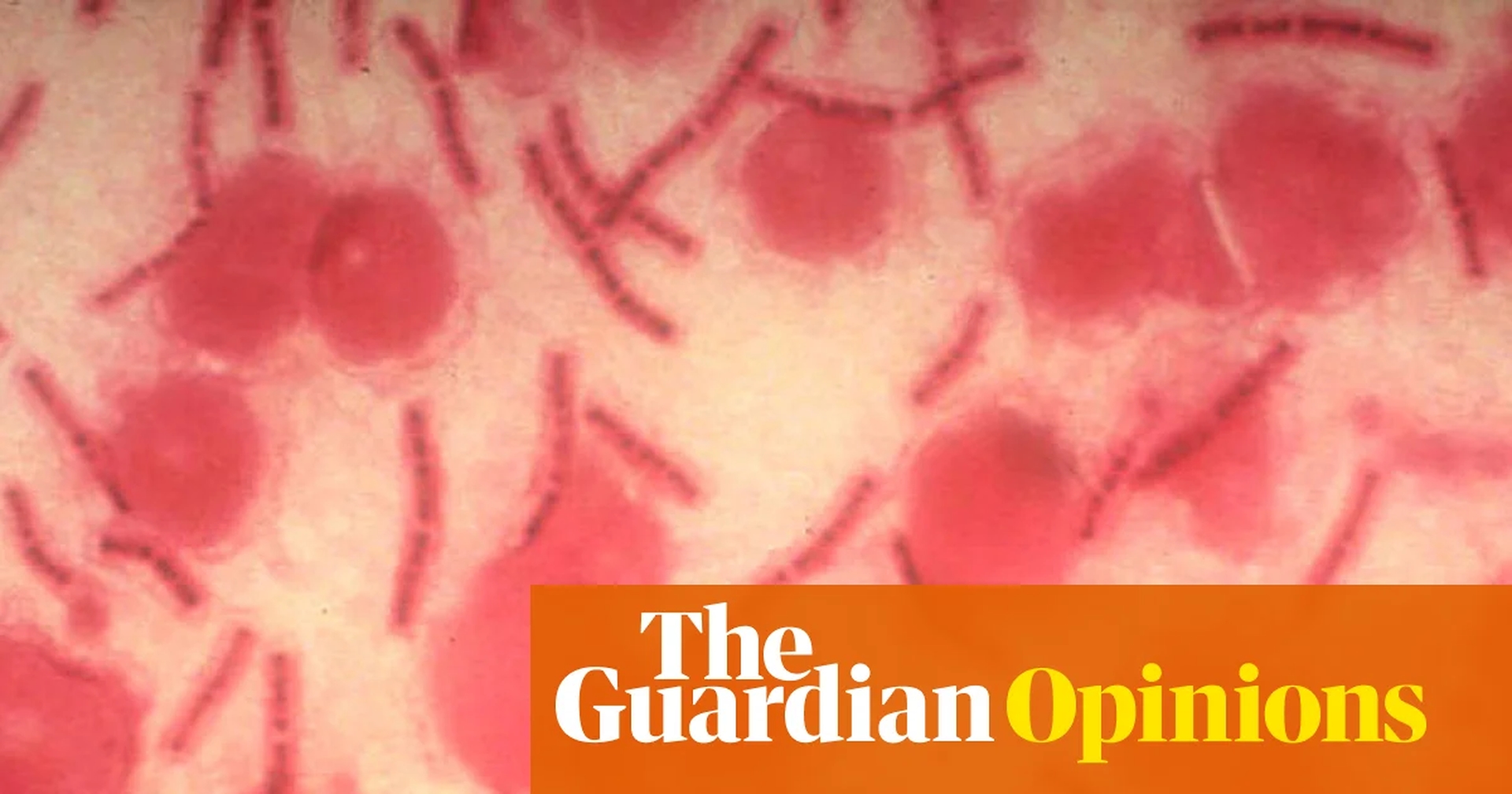 Global Health and Education Watch: AI can fuel biological weapons. We must harness its