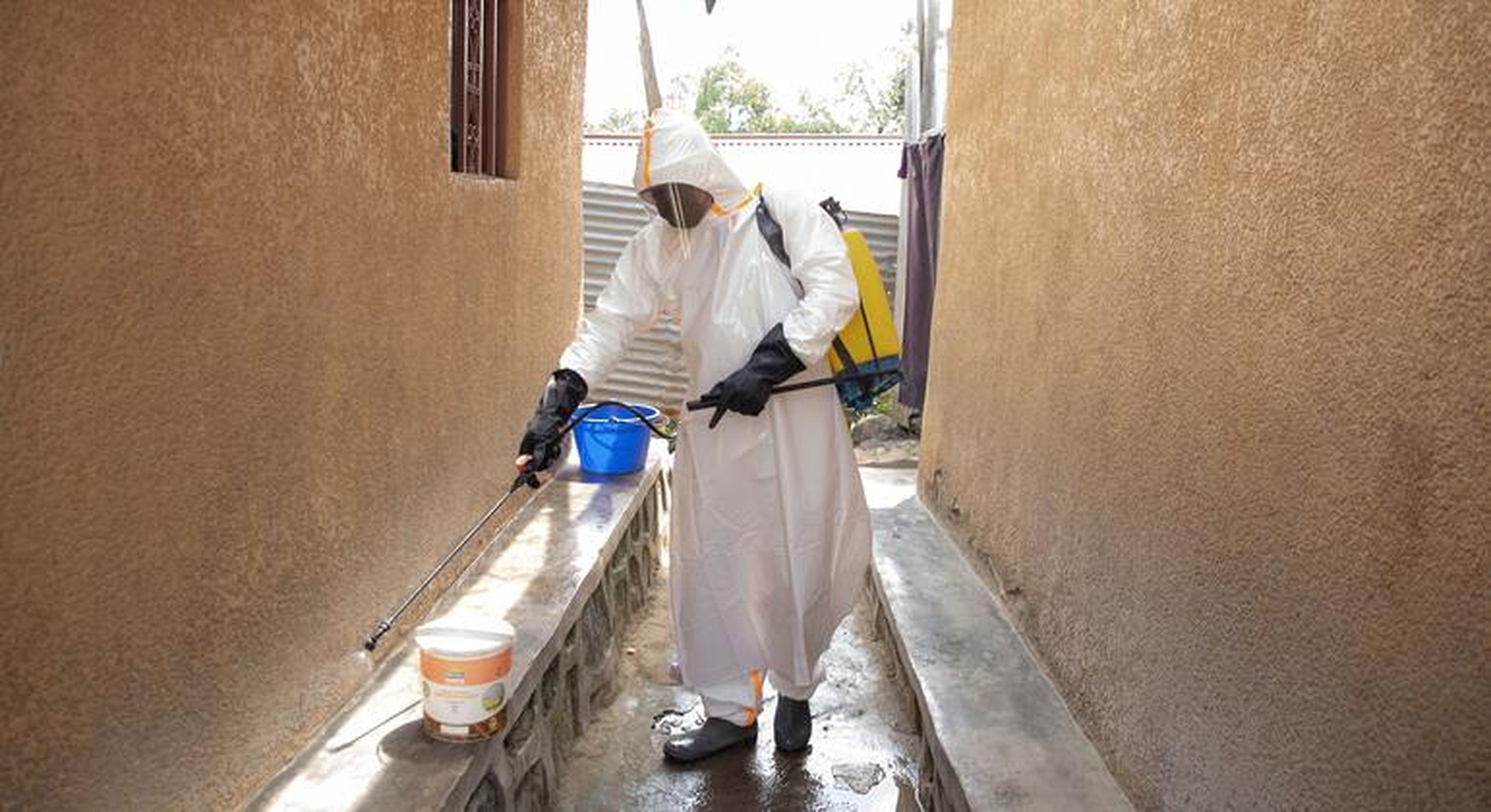 Global Health and Education Watch: Hunger hampers Ebola response as cases top 3,200 in