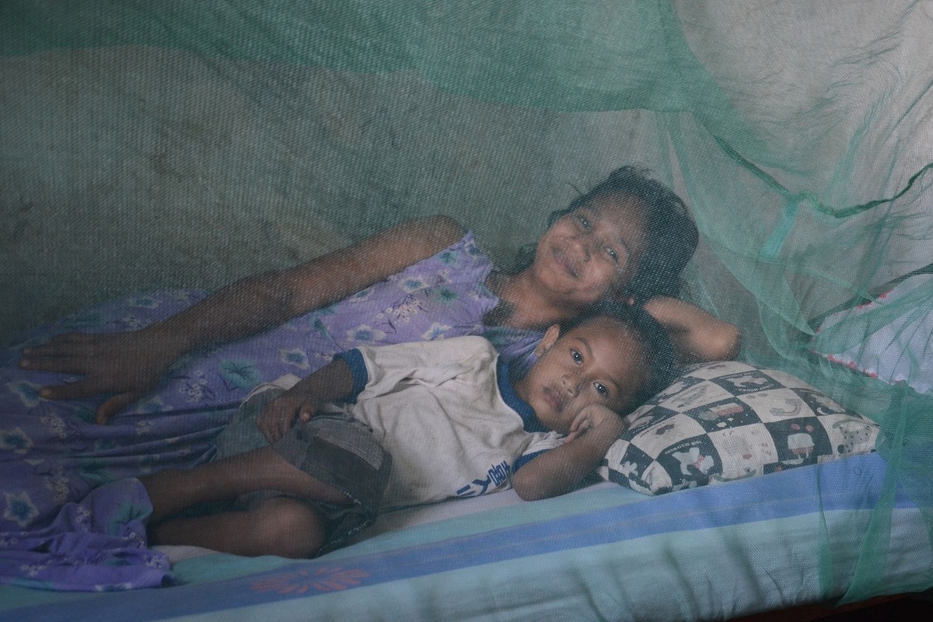 Global Health and Education Watch: Timor-Leste certified malaria-free by WHO