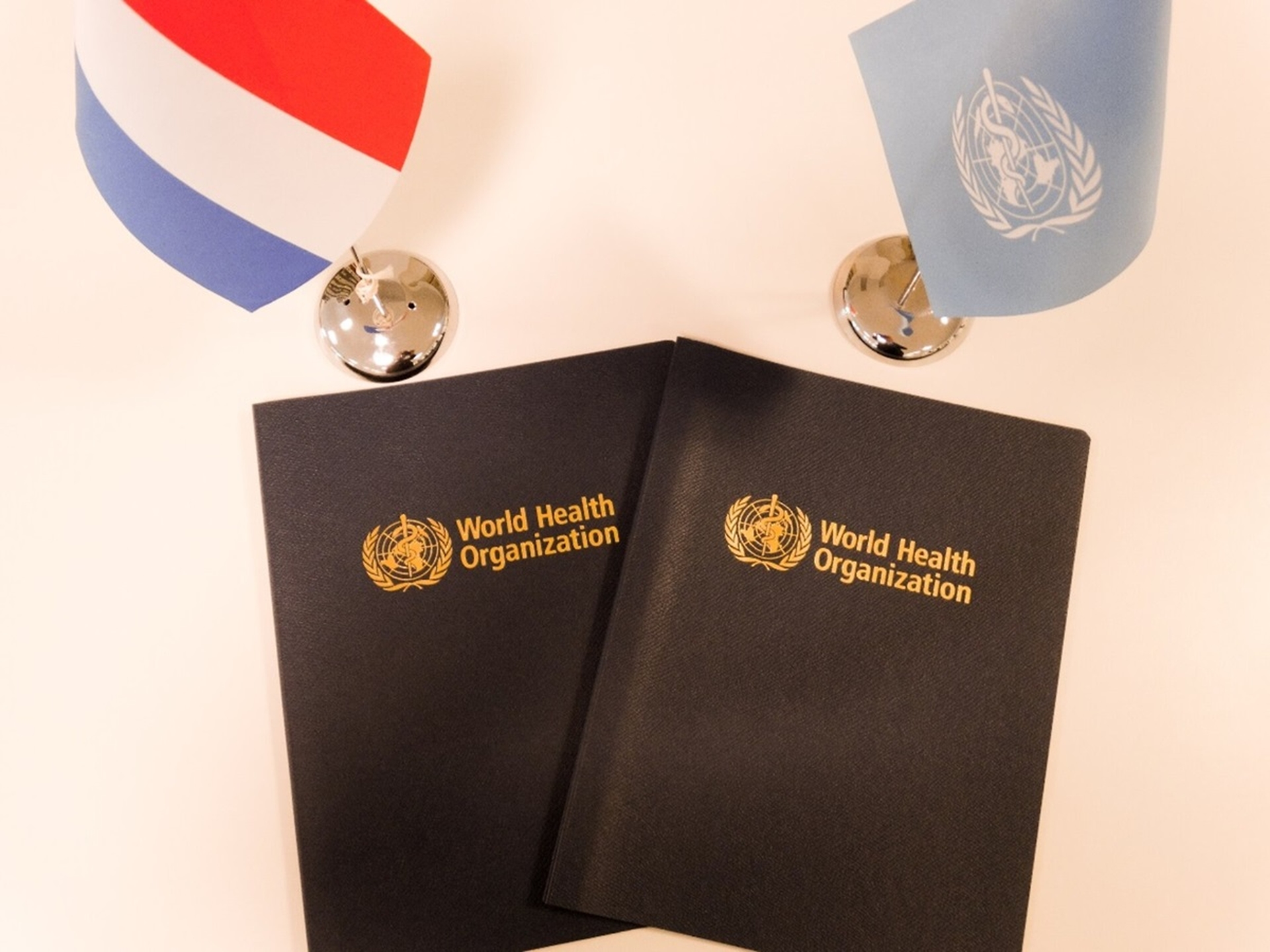 Global Health and Education Watch: WHO and the Netherlands renew their partnership on climate
