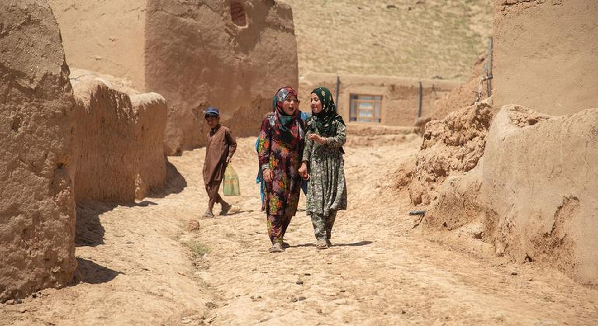 Global Health and Education Watch: Five years after Taliban takeover, Afghan women ‘erased from
