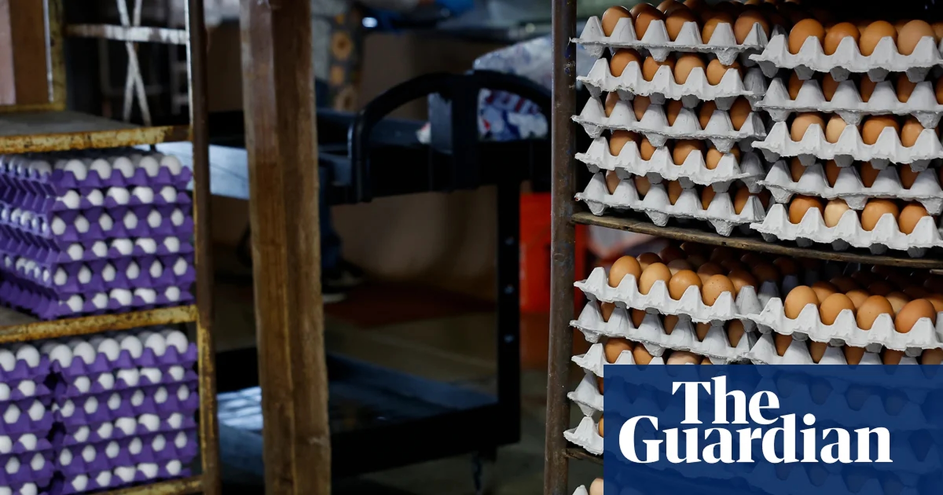 Global Health and Education Watch: Massive egg recall in US south and south-west due